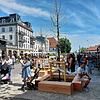 Die Stieleiche steht nicht mehr alleine auf der Marktstätte. Ende April wurden drei junge Bäumchen gepflanzt.