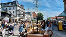Die Stieleiche steht nicht mehr alleine auf der Marktstätte. Ende April wurden drei junge Bäumchen gepflanzt.