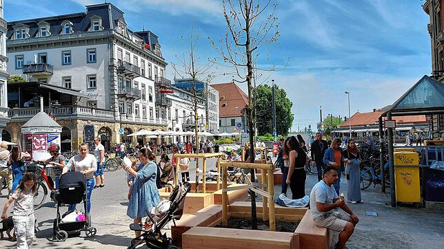 Die Stieleiche steht nicht mehr alleine auf der Marktstätte. Ende April wurden drei junge Bäumchen gepflanzt.