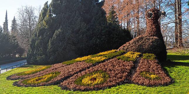 Bild 2: Bilder von der Mainau: Dieser Rundgang zeigt das Frühlingserwachen auf der Insel