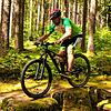 Wie hier Tobias Sell auf der Steintreppe des Bikeparks bei Unterbränd sollen Mountainbiker auch in Immendingen über Hindernisse eines ...