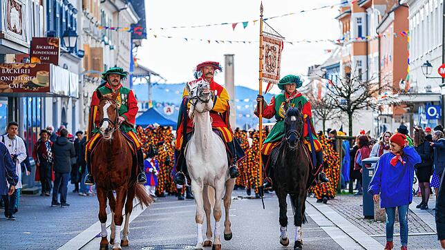 Die berittenen Herolde sind bei jedem Umzug in Stockach ein Blickfang. Doch sind die Pferde nun in den wohlverdienten Ruhestand ...
