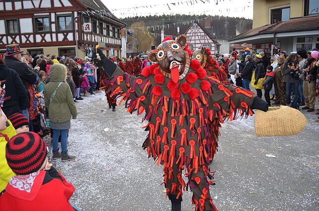 Bild 40: Eigeltinger Narrentage: Der Sonntagsumzug in Bildern (3)