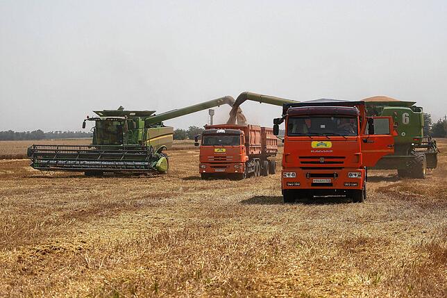 Landwirte ernten mit ihren Mähdreschern ein Weizenfeld ab. Seit Beginn des Ukrainekriegs wachsen die Sorgen mit Blick auf die Ernährung ...
