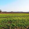 In diesem Bereich könnte der neue Solarpark in Mühlhausen-Ehingen entstehen.