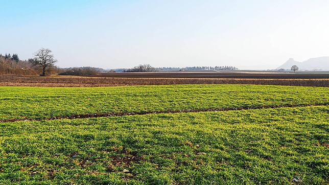 In diesem Bereich könnte der neue Solarpark in Mühlhausen-Ehingen entstehen.