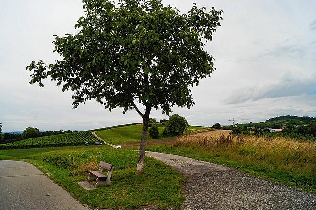 Auf dem Ortsverbindungsweg Stetten &ndash; Meersburg kommen Sie nach ca. 500 m auf dem Weg nach Meersburg auf der Anhöhe ...