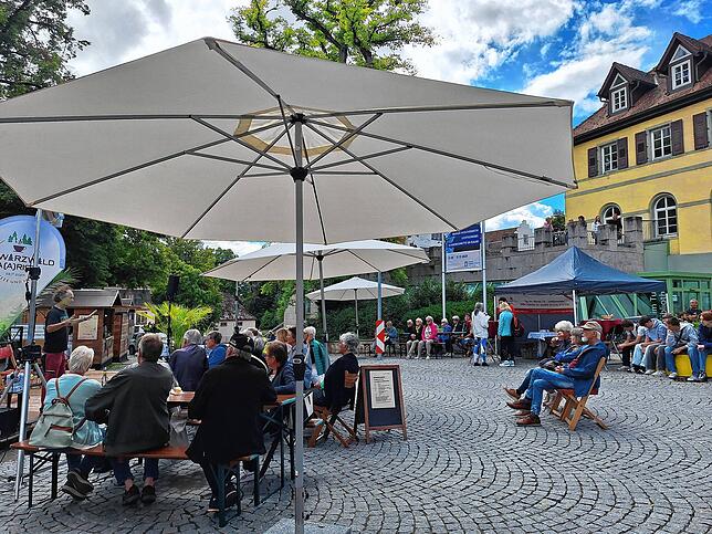 Bild 14: Mit Musik und Aktionen geht der Donauquellsommer nach drei Monaten zu Ende