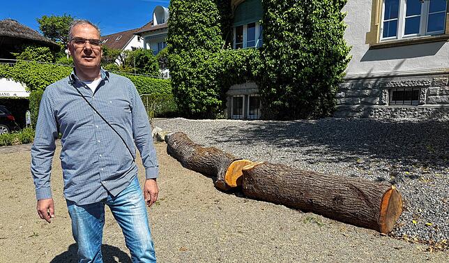 Abgemagerter Boden, Totholz und Steine: Grau beginnt die Geschichte einer Ökoinsel. Roland Leitner vor dem Grünflächenamt und damit ...