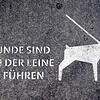 (Symbolbild) In den vergangenen Tagen sorgte die mögliche Ausweiterung der Leinenpflicht in Konstanz unter Hundehaltern für Aufruhr. ...