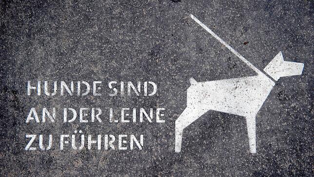 (Symbolbild) In den vergangenen Tagen sorgte die mögliche Ausweiterung der Leinenpflicht in Konstanz unter Hundehaltern für Aufruhr. ...
