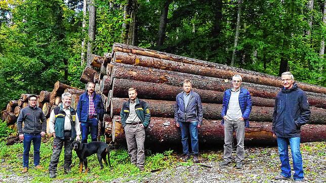 Diskussion über Holzpreise (von links): Sebastian Hornstein, Elmar Reisch, Stefan Laur, Markus Kramer, Reiner Huber, Albert Scherer und ...