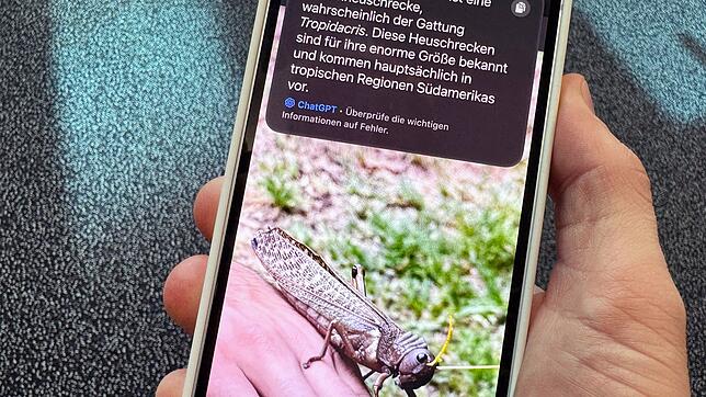 Seit diesem Jahr hält auf europäischen Handys verstärkt die KI Einzug. Aber auch in anderen Bereichen kommen Neuerungen auf Nutzer zu.