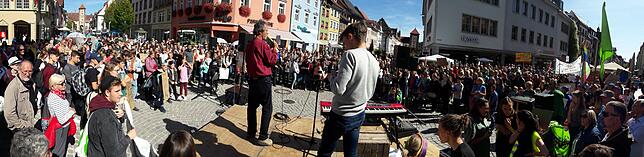 Bild 4: Bilder von der Fridays for Future-Demonstration in Villingen