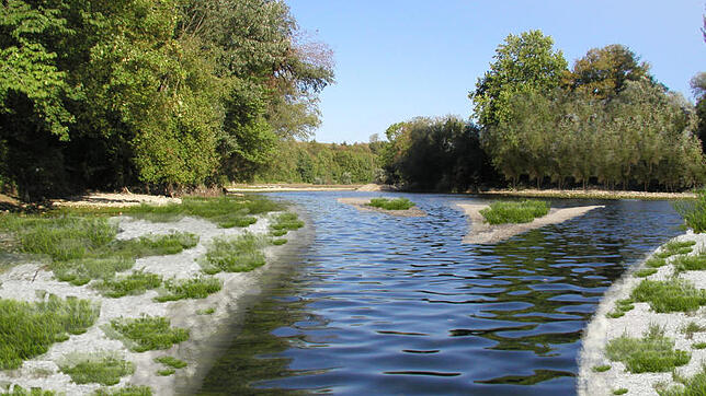 So ähnlich könnte der neue Donauzusammenfluss aussehen. Ein Auwald wird dafür sorgen, dass die B&nbsp;27 nicht länger die Blicke stört. ...