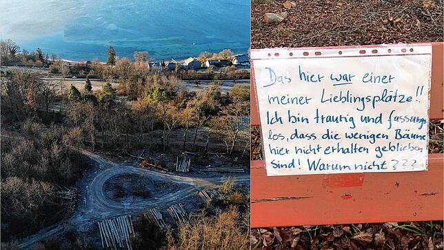 Der Kahlschlag auf der Konstantinhalde bei Nußdorf sorgt für Betroffenheit. Ein Unbekannter äußert seinen Unmut schriftlich.