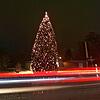 Einer der beeindruckendsten Weihnachtsbäume in der Region steht in Oberuhldingen bei der Schreinerei und Glaserei Burkert, direkt neben ...