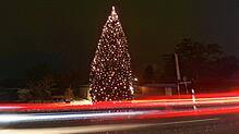 Einer der beeindruckendsten Weihnachtsbäume in der Region steht in Oberuhldingen bei der Schreinerei und Glaserei Burkert, direkt neben ...