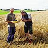 Die beiden Landwirtschaftsmeister Rudolf Heiler (links) und Rainer Zepf messen die Trockenheit im Getreide, das erst bei einer ...