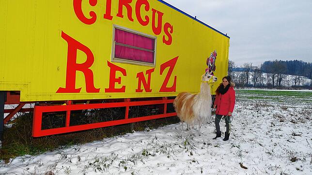 Rosa Renz mit dem Lieblings-Lama Bianca vor einem renovierten Zirkuswagen. Seit über einem Jahr hängt die Familie mit ihren Tieren im ...