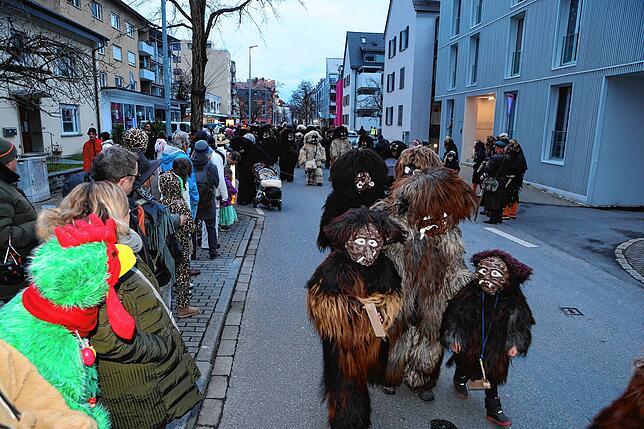 Bild 46: In Petershausen steht der Narrenbaum! Alle Fotos vom Freitagabend