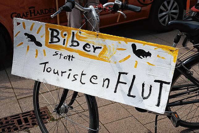 Im Streuhau hat sich der geschützte Biber schon häuslich eingerichtet. Dort soll er laut dem Wunsch dieses Plakatmalers auch bleiben.