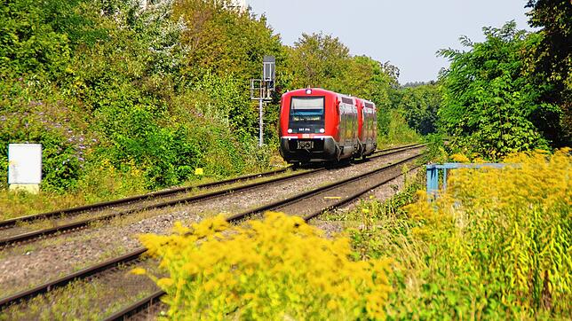 Vom ehemaligen Haltepunkt Grenzacher Horn ist nach dem Rückbau der Anlage nur noch ein Signalfundament übrig geblieben.
