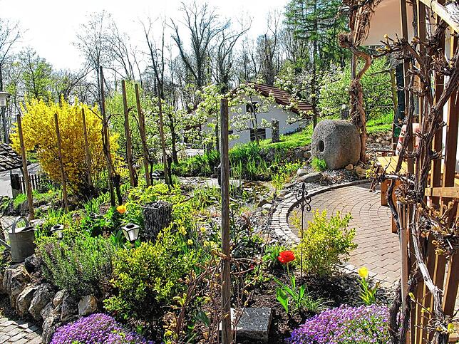 „Hallo Gartenfreunde, ich hätte noch ein schönes Plätzchen für Tulpenzwiebeln in meinem Garten.“ Dieser Garten gehört Andrea ...