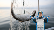 Heißt der Fisch jetzt „das“ oder „der“ Felchen?