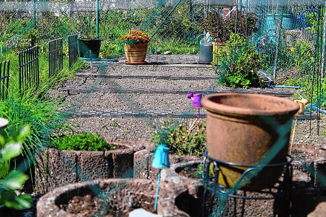 Die Schrebergärten im Tägermoos und Döbeli dürften bald wieder in voller Pracht stehen. Wer einen Schrebergarten hat, darf wieder rüber.