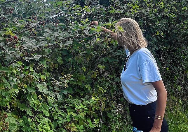 Lilly pflückt ein wenig Wegproviant von wilden Brombeersträuchern.