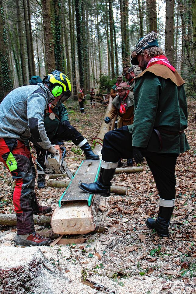 Bild 3: Etz kummt de Narrenbom: So kommt der Narrenbaum aus dem Wald in die Stadt