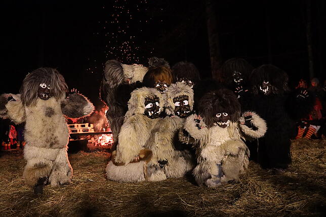 Die Schneeschreck treiben im Schwaketental ihr Unwesen. Statt Winter- halten sie Sommerschlaf und sind zur fünften Jahreszeit aktiv.