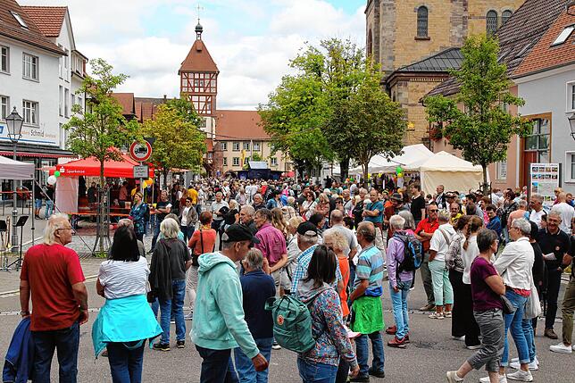 Bild 9: Bilder vom Straßenmusiksonntag-Finale