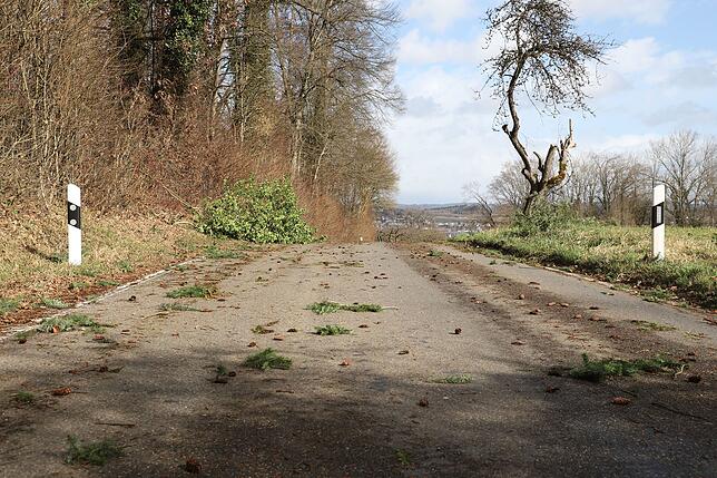Zwischen Dingelsdorf und Dettingen lagen mehrere Bäume auf der Straße, die zeitnah entfernt wurden.