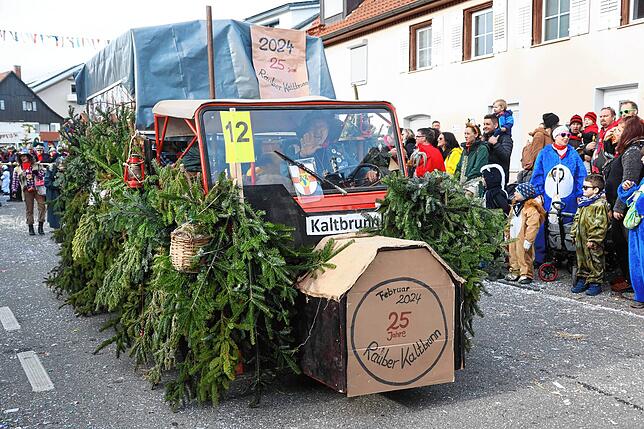 Bild 14: So bunt war der große Umzug beim Seenarrentreffen in Allensbach 2024 &ndash; Teil 2