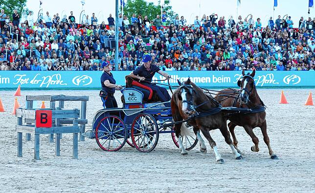 Bild 24: So spektakulär war der Showabend beim Fest der Pferde