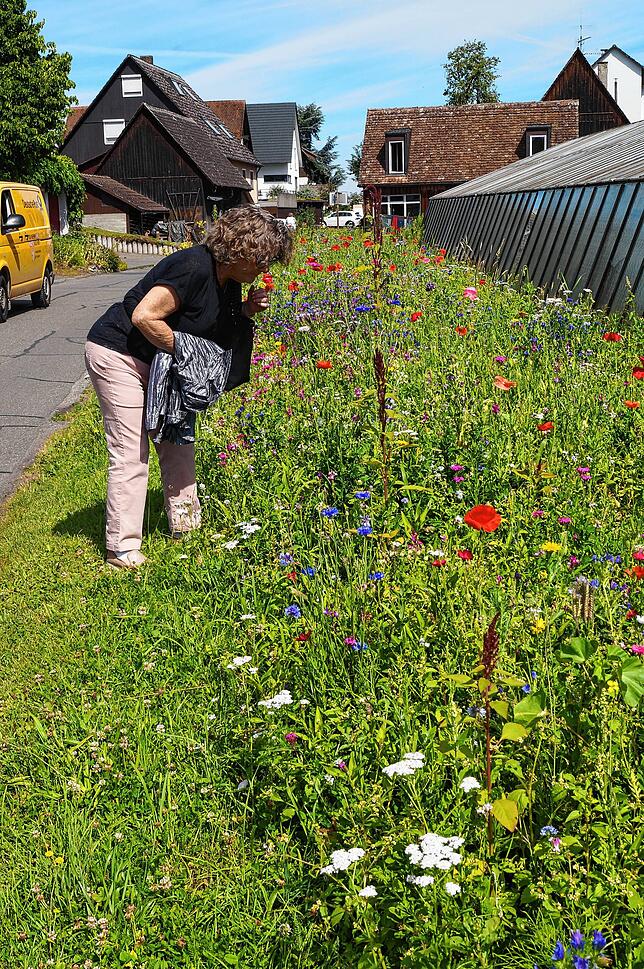 Neben jedem Gewächshaus scheint eine Blumenwiese zu sein.