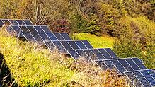 Am Waldrand bei Niederdossenbach soll ein Solarpark entstehen, er hätte kaum negative Auswirkungen. Bild: Alexandra Günzschel
