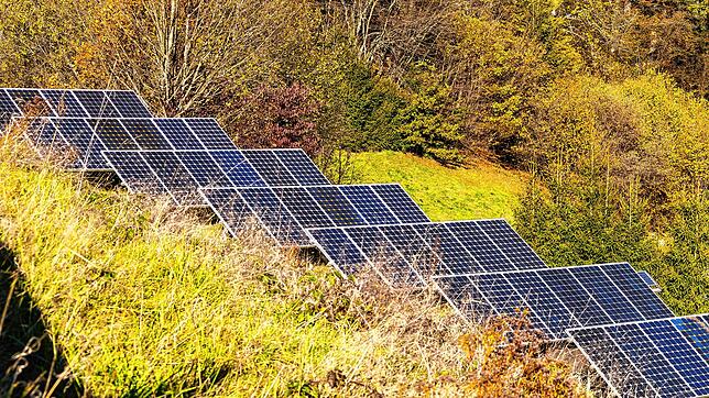Am Waldrand bei Niederdossenbach soll ein Solarpark entstehen, er hätte kaum negative Auswirkungen. Bild: Alexandra Günzschel