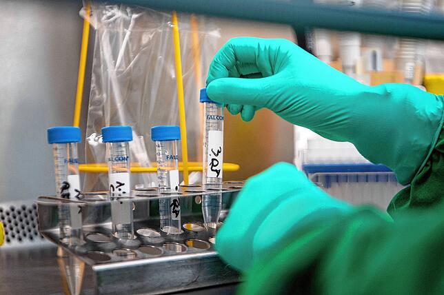 Eine Mitarbeiterin des Landesgesundheitsamts Baden-Württemberg setzt eine inaktivierte Probe eines Covid-19-Verdachtsfalles aus ...