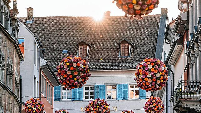 Die Blumen-Bälle &ndash; hier über der Kanzleistraße &ndash; schmücken wieder die Altstadt.