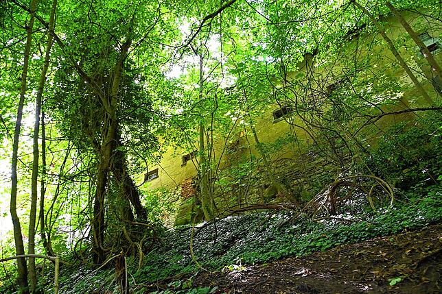 Bild 31: Wie läuft es sich von der Marienschlucht zum Burghof? Bilder einer Wanderung