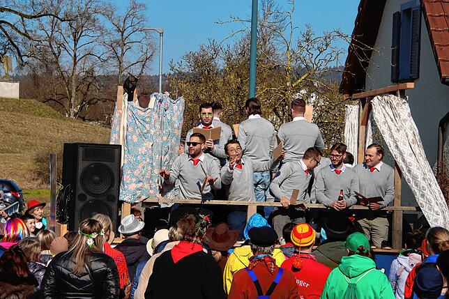 Bild 8: So bunt geht es beim Rosenmontagsumzug 2025 zu