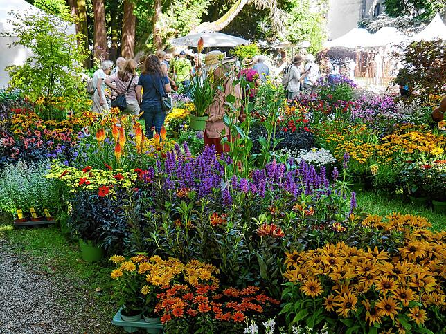 Bild 10: Die schönsten Bilder von der DIGA-Gartenmesse im Bad Säckinger Schlosspark