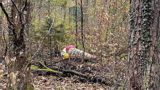 Surrealer Anblick: Eine riesige Eistüte, die mitten im Wald liegt.