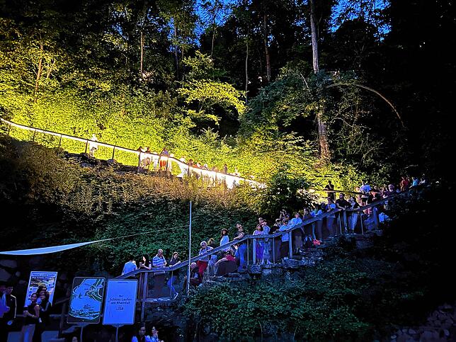 Bild 15: Nationalfeiertag in der Schweiz: Die schönsten Bilder aus Schaffhausen!