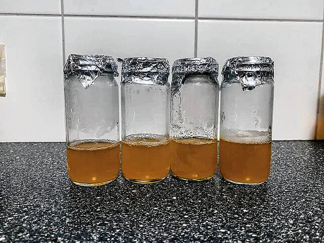 Die alten Hefezellen sind in vier Portionen aufgeteilt, falls sich doch eine Infektion mit anderen Hefen oder Bakterien eingeschlichen ...