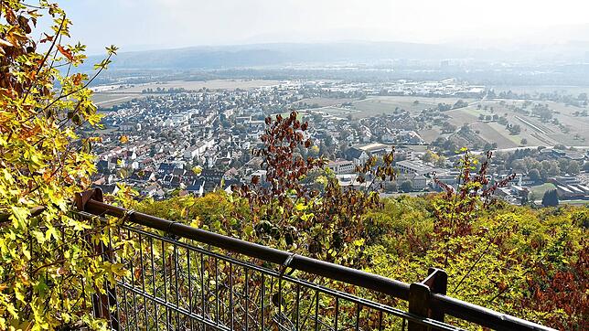 Der Blick auf Herten: Geht es nach Ortsvorsteher Frank-Michael Littwin, kann er ab Mitte des Jahres wieder genossen werden. Davor müssen ...