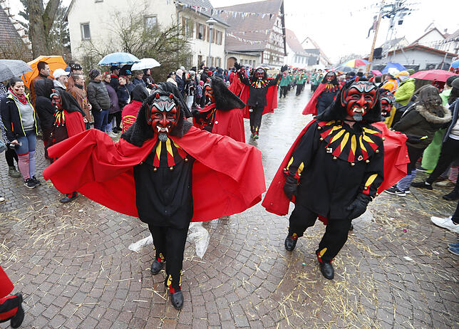 Bild 30: Bilder zum großen Narrentreffen in Pfohren (2)